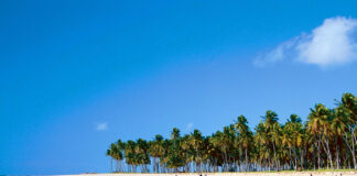 Destinos incríveis e passagens aéreas baratas para Natal (RN)