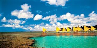 Conheça Ipojuca (PE) e saiba como comprar passagens aéreas pelos melhores preços