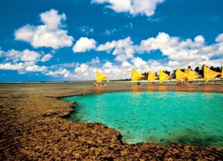 Conheça Ipojuca (PE) e saiba como comprar passagens aéreas pelos melhores preços