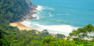 Viagens de Verão: litoral paulista ou nordeste brasileiro?