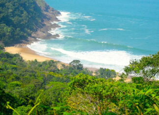 Viagens de Verão: litoral paulista ou nordeste brasileiro?