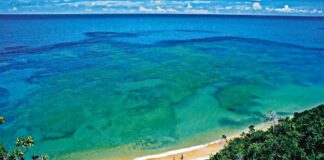 Viagem com a Escola: o que conhecer em Porto Seguro (BA)? 3 pontos turísticos