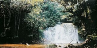 6 destinos de ecoturismo para visitar no Brasil