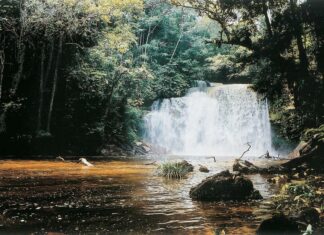 6 destinos de ecoturismo para visitar no Brasil