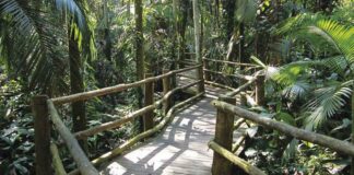 4 Trilhas Legais para Curtir a Natureza em São Paulo