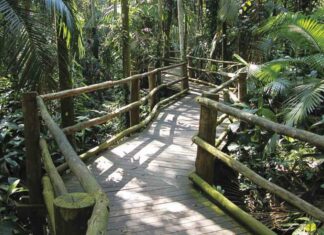 4 Trilhas Legais para Curtir a Natureza em São Paulo