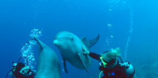 5 lugares poucos conhecidos para desbravar na América Central