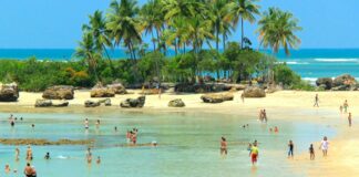 De São Paulo para a Bahia de carro - os 7 cuidados que você deve ter