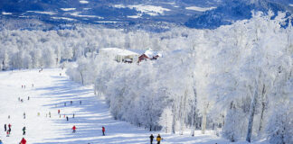 5 destinos de viagem para quem gosta de neve