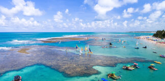 5 piscinas naturais para conhecer no Nordeste