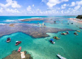 5 piscinas naturais para conhecer no Nordeste
