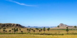 5 passeios turísticos para fazer na Chapada dos Veadeiros (GO)