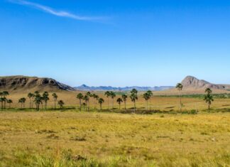 5 passeios turísticos para fazer na Chapada dos Veadeiros (GO)
