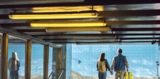 Descubra quais alimentos você não pode trazer em uma viagem de avião