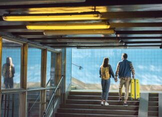 Descubra quais alimentos você não pode trazer em uma viagem de avião