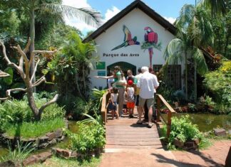 Parque das Aves é opção de turismo para as férias de julho