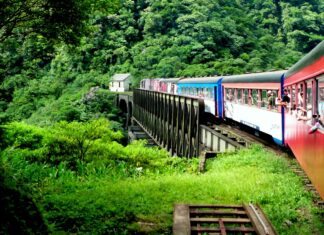 5 viagens de trem inesquecíveis para fazer no Brasil