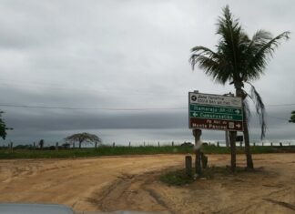 Descubra 5 motivos para visitar o Parque Nacional de Monte Pascoal (BA)