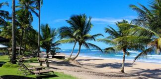 Descubra quais são as 9 melhores praias do sul da Bahia melhores praias do sul da Bahia