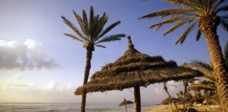 Vai viajar para a Tunísia? Saiba tudo sobre vistos, dinheiro e quando ir