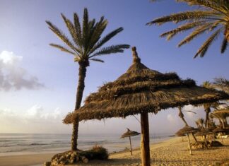 Vai viajar para a Tunísia? Saiba tudo sobre vistos, dinheiro e quando ir