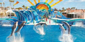 Confira essas dicas para economizar dinheiro em Orlando, nos Estados Unidos