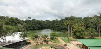 Confira esses 7 passeios em Cacoal (RO) para fazer e não se arrepender!