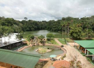 Confira esses 7 passeios em Cacoal (RO) para fazer e não se arrepender!