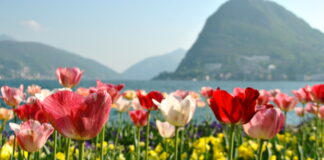 Veja quais são as 10 cidades mais caras da Europa