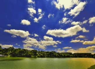 3 coisas que você precisa fazer em Belo Horizonte belo horizonte