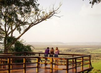 Conheça 7 atrações fora do comum em Brotas (SP)