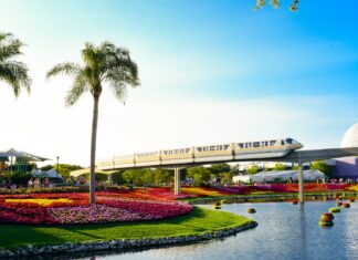 Conheça essas 4 dicas para comprar passagem barata para Orlando (EUA)