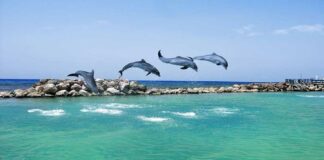 Descubra 7 pontos turísticos na Jamaica para conhecer nesse ano