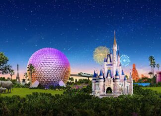 Descubra qual é a melhor época para viajar para a Disney, nos Estados Unidos