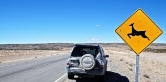 Veja esses 5 cuidados quando for alugar um carro em Santiago, no Chile