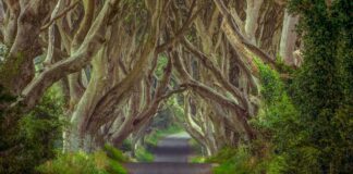 Conheça as 7 ruas mais incríveis do mundo para visitar – 1 é do Brasil ruas mais incríveis do mundo para visitar