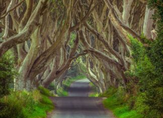 Conheça as 7 ruas mais incríveis do mundo para visitar – 1 é do Brasil ruas mais incríveis do mundo para visitar