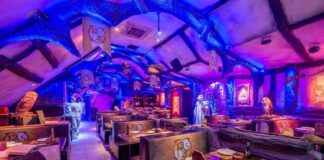 Conheça essa pizzaria inspirada em Harry Potter, que fica em Gramado (RS) pizzaria inspirada em Harry Potter