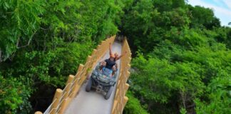 Saiba onde comprar ingressos para a Emotions Native Park ingressos para a Emotions Native Park