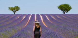 Saiba como conhecer Provence, na França, sem sair de casa conhecer Provence