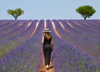 Saiba como conhecer Provence, na França, sem sair de casa conhecer Provence