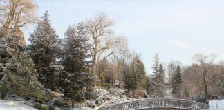 Saiba qual é a melhor época para esquiar no Canadá melhor época para esquiar no Canadá