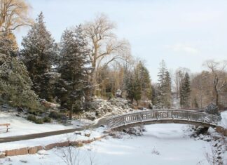 Saiba qual é a melhor época para esquiar no Canadá melhor época para esquiar no Canadá