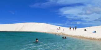 Conheça 5 parques nacionais brasileiros mais famosos parques nacionais brasileiros