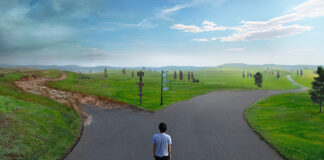 Enriquecer é questão de escolha – veja como ficar rico a longo prazo como ficar rico a longo prazo