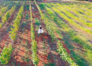 Vinícola Marchese di Ivrea – Saiba como conhecer a Itália sem sair de São Paulo conhecer a Itália sem sair de São Paulo