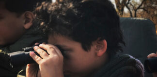 Conheça 5 lugares para fazer uma viagem para a África do Sul com crianças viagem para a África do Sul com crianças