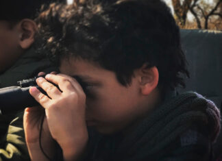 Conheça 5 lugares para fazer uma viagem para a África do Sul com crianças viagem para a África do Sul com crianças