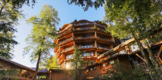 Conheça o Hotel Nothofagus em Huilo Huilo, no Chile Hotel Nothofagus