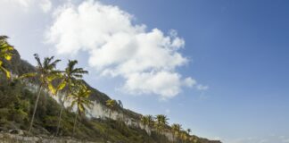 Como ter renda todos os meses para viajar? Estude esse passo a passo renda todos os meses para viajar